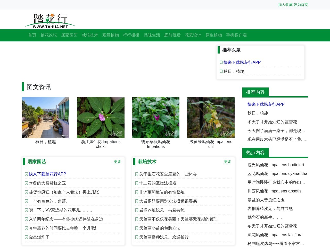 踏花行花卉论坛